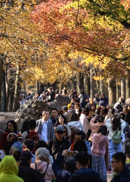 (251121) -- BEIJING, Nov. 21, 2025 (Xinhua) -- Tourists visit the imperial Xiaoling Mausoleum, the burial site of the Ming Dynasty's (1368-1644) founding emperor Zhu Yuanzhang, in Nanjing, east China's Jiangsu Province, Nov. 21, 2025. (Photo by Xin Yi/Xinhua)