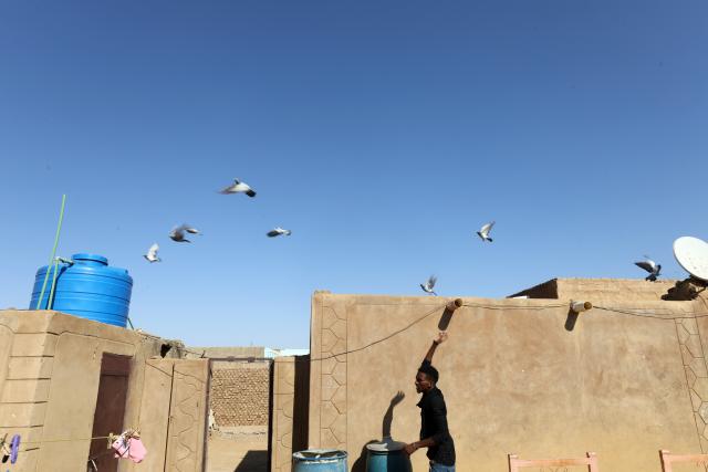 (251121) -- KHARTOUM, Nov. 21, 2025 (Xinhua) -- Photo taken on Nov. 20, 2025 in the Um Dawan Ban area, east of the Sudanese capital Khartoum, shows a group of long-distance racing homing pigeons making an aerial tour around a feeding and training house, which also serves as the race's main landing point. TO GO WITH: "Feature: Khartoum's sky comes alive with flying pigeons despite Sudan's conflict" (Photo by Mohamed Khidir/Xinhua)