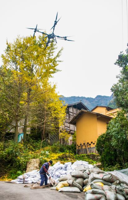 (251122) -- CHONGQING, Nov. 22, 2025 (Xinhua) -- A farmer operates a drone to transport fertilizer to a sealwort field, a kind of traditional Chinese herb, in Zhongyi Township, Shizhu County, southwest China's Chongqing, Nov. 22, 2025. Located in Wuling Mountain area, Zhongyi Township in recent years has developed several characteristic industries so as to build a modern agricultural industrial system.
  In addition, the township has also improved human settlement environment and infrastructure, attracting many tourists. (Xinhua/Tang Yi)