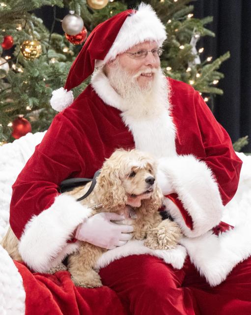 (251123) -- MISSISSAUGA, Nov. 23, 2025 (Xinhua) -- A man dressed as Santa Claus poses for photos with a pet dog at the 2025 Christmas Canadian Pet Expo in Mississauga, Ontario, Canada, on Nov. 22, 2025.
  Featuring different pet competitions and a holiday marketplace, this annual two-day event kicked off here on Saturday. (Photo by Zou Zheng/Xinhua)