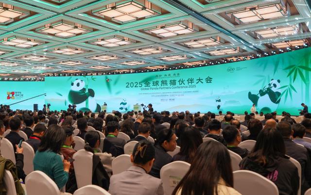 (251123) -- CHENGDU, Nov. 23, 2025 (Xinhua) -- The opening ceremony of the Global Panda Partners Conference 2025 is held in Chengdu, southwest China's Sichuan Province, Nov. 21, 2025. (Xinhua/Wang Xi)