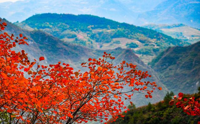 (251123) -- CHONGQING, Nov. 23, 2025 (Xinhua) -- This photo taken on Nov. 23, 2025 shows the view of a scenic spot near the Wuxia Gorge, one of the Three Gorges on the Yangtze River, in Wushan, southwest China's Chongqing. (Xinhua/Wang Quanchao)