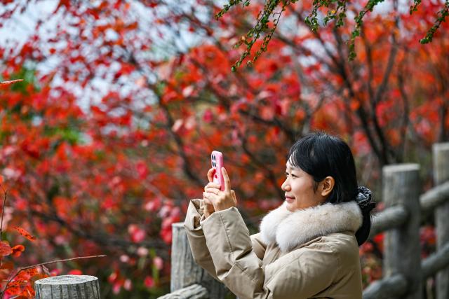 (251123) -- CHONGQING, Nov. 23, 2025 (Xinhua) -- A tourist takes photos at a scenic spot near the Wuxia Gorge, one of the Three Gorges on the Yangtze River, in Wushan, southwest China's Chongqing, Nov. 23, 2025. (Xinhua/Wang Quanchao)