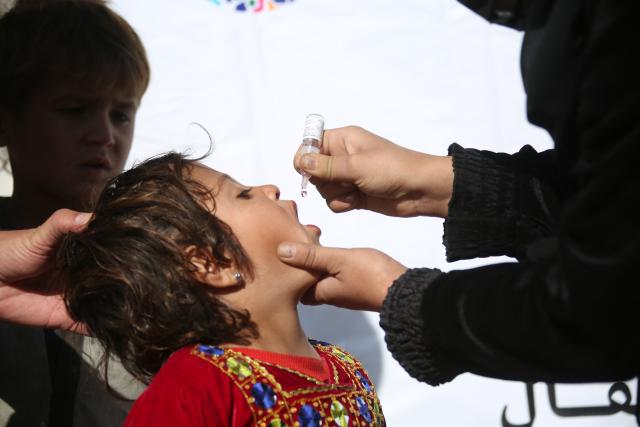 (251124) -- KABUL, Nov. 24, 2025 (Xinhua) -- A child receives oral polio vaccine drops during a polio vaccination campaign in Kabul, Afghanistan, Nov. 24, 2025. Afghanistan's Ministry of Public Health launched the fourth sub-national polio vaccination campaign of 2025 on Monday in a bid to guard around 7.4 million children against paralysis. (Photo by Saifurahman Safi/Xinhua)
