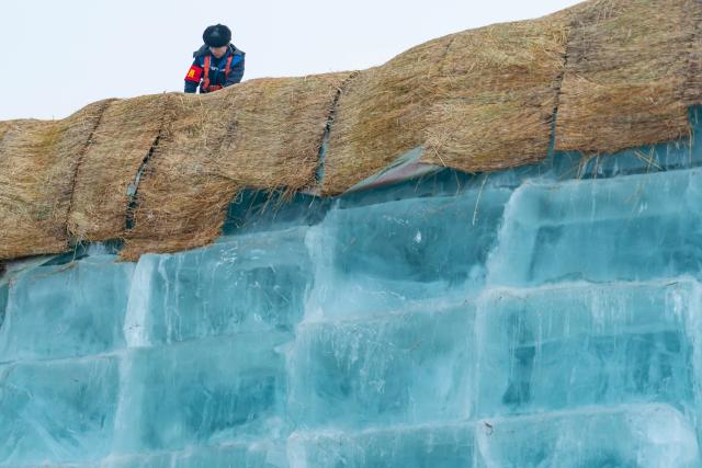 (251124) -- HARBIN, Nov. 24, 2025 (Xinhua) -- A staff member removes the covering on the ice cubes at an ice storage site for the Harbin Ice-Snow World in Harbin, northeast China's Heilongjiang Province, Nov. 24, 2025. The 27th edition of the Harbin Ice-Snow World, a renowned seasonal theme park in Harbin, will officially begin construction on Nov. 25 this year. (Xinhua/Xie Jianfei)