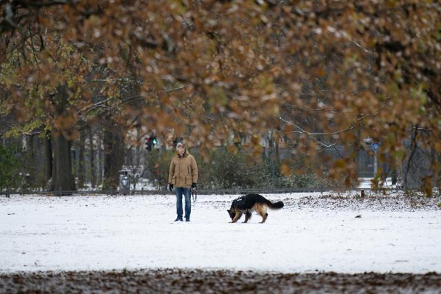(251124) -- BERLIN, Nov. 24, 2025 (Xinhua) -- A man walks his dog at the Tiergarten Park in Berlin, Germany, Nov. 24, 2025. Berlin saw its first snowfall of the winter season on Monday. (Xinhua/Zhang Haofu)
