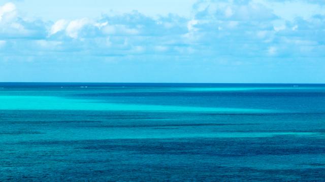 (251124) -- SOUTH CHINA SEA, Nov. 24, 2025 (Xinhua) -- An aerial drone photo taken on Nov. 14, 2025 shows a view of the waters of China's Huangyan Dao in the South China Sea. Huangyan Dao is part of China's Zhongsha Qundao with diverse natural ecosystem. (Xinhua/Bei He)