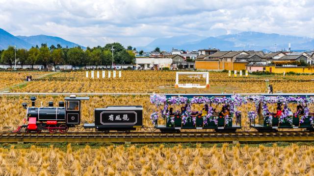 (251125) -- DALI, Nov. 25, 2025 (Xinhua) -- A drone photo taken on Nov. 24, 2025 shows tourists taking a sightseeing train in Xizhou old town of Dali City, southwest China's Yunnan Province. (Xinhua/Hu Chao)