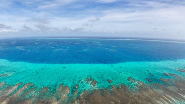 (251125) -- SOUTH CHINA SEA, Nov. 25, 2025 (Xinhua) -- An aerial drone photo taken on Nov. 8, 2025 shows a view of China's Huangyan Dao national nature reserve in the South China Sea. (Xinhua/Xing Tuo)