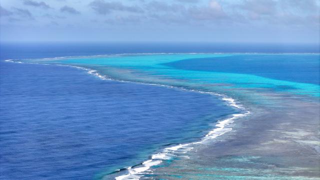 (251125) -- SOUTH CHINA SEA, Nov. 25, 2025 (Xinhua) -- An aerial drone photo taken on Nov. 8, 2025 shows a view of China's Huangyan Dao national nature reserve in the South China Sea. (Xinhua/Bei He)