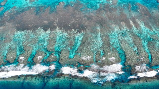 (251125) -- SOUTH CHINA SEA, Nov. 25, 2025 (Xinhua) -- An aerial drone photo taken on Nov. 8, 2025 shows a view of China's Huangyan Dao national nature reserve in the South China Sea. (Xinhua/Xing Tuo)