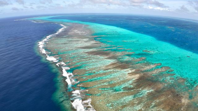 (251125) -- SOUTH CHINA SEA, Nov. 25, 2025 (Xinhua) -- An aerial drone photo taken on Nov. 8, 2025 shows a view of China's Huangyan Dao national nature reserve in the South China Sea. (Xinhua/Bei He)