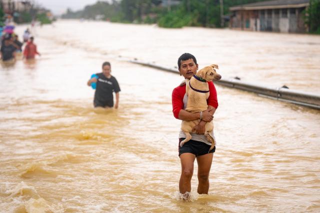 (251126) -- SONGKHLA, Nov. 26, 2025 (Xinhua) -- A man holding his pet dog wades through flood in the suburb of Hat Yai, Songkhla province, Thailand, Nov. 25, 2025. Thailand's Prime Minister Anutin Charnvirakul declared a state of emergency in Songkhla province on Tuesday as severe flooding ravaged the southern region.
   The monsoon-driven floods have impacted nine provinces in Thailand's southern region, specifically, affecting millions of people and resulting in casualties across the provinces. (Xinhua)