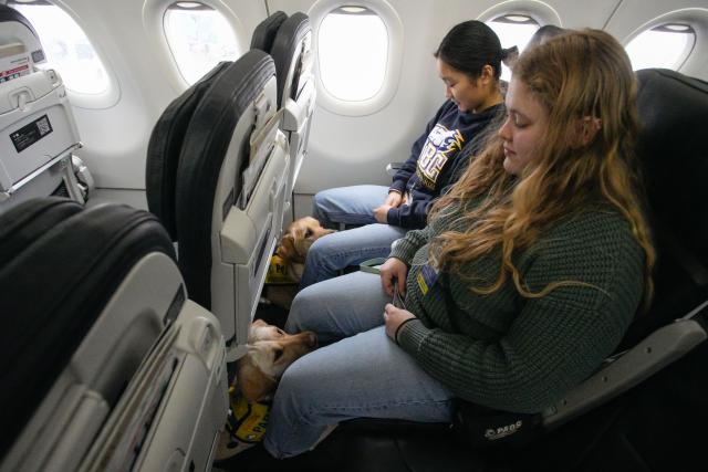 (251126) -- RICHMOND, Nov. 26, 2025 (Xinhua) -- Service dogs rest under the seats in front of their trainers aboard a plane at Vancouver International Airport during a training exercise in Richmond, British Columbia, Canada, Nov. 25, 2025. A service dog training program was held here on Tuesday. The training familiarized service dogs with airport environments so they could confidently assist people with disabilities during travel, helping reduce stress and address unexpected challenges for future handlers. (Photo by Liang Sen/Xinhua)