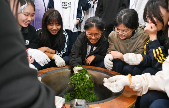 (251126) -- BAISHA, Nov. 26, 2025 (Xinhua) -- Students try their hands roasting fresh tea leaves at a tea garden in Baisha Li Autonomous County, south China's Hainan Province, Nov. 20, 2025. In recent years, Baisha Li Autonomous County has been deeply tapping into the potential of namely rubber, tea and oil-tea camellia, three of its signature industrial crops, to boost local economy. Reports show that the planting area of the these crops in Baisha reached 1.1605 million mu (about 77,367 hectares) by 2014, with an output value of approximately 2 billion yuan (282.5 million U.S. dollars). (Xinhua/Yang Guanyu)