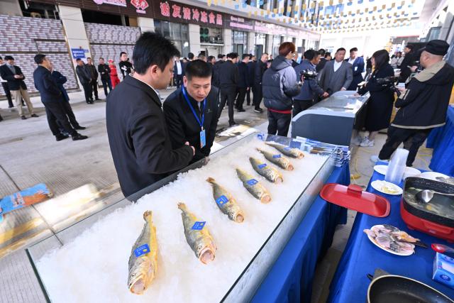 (251130) -- XIAPU, Nov. 30, 2025 (Xinhua) -- Guests view large yellow croaker products at the ninth Ningde (Xiapu) large yellow croaker industry innovation and development conference in Xiapu County, southeast China's Fujian Province, Nov. 29, 2025.
  The ninth Ningde (Xiapu) large yellow croaker industry innovation and development conference kicked off here on Saturday, focusing on the breeding, farming, processing and sales of large yellow croakers.
  Last year, the total production of large yellow croakers in Ningde City reached 214,900 tonnes, exported to more than 60 countries and regions. The output value of the whole industrial chain exceeded 20 billion yuan (about 2.83 billion U.S. dollars) in the same year. (Xinhua/Jiang Kehong)