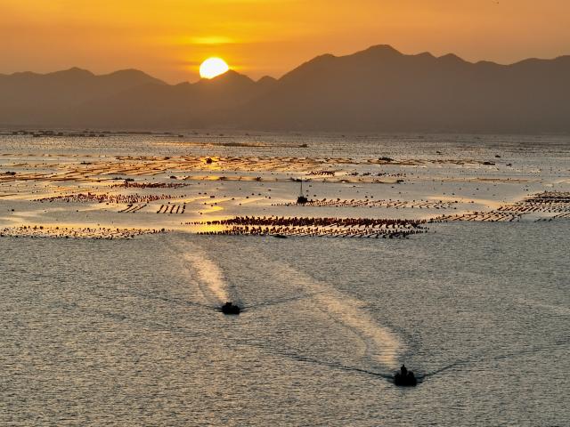 (251130) -- BEIJING, Nov. 30, 2025 (Xinhua) -- An aerial drone photo taken on Nov. 28, 2025 shows fishing boats sailing from a fish farm at dusk in Xiapu County, southeast China's Fujian Province. (Xinhua/Jiang Kehong)