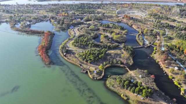 (251130) -- CHANGSHA, Nov. 30, 2025 (Xinhua) -- An aerial drone photo taken on Nov. 30, 2025 shows a scenery of the Hunan Songya Lake National Wetland Park in Changsha, central China's Hunan Province. (Xinhua/Chen Zhenhai)