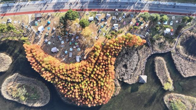 (251130) -- CHANGSHA, Nov. 30, 2025 (Xinhua) -- An aerial drone photo taken on Nov. 30, 2025 shows citizens visiting the Hunan Songya Lake National Wetland Park in Changsha, central China's Hunan Province. (Xinhua/Chen Zhenhai)