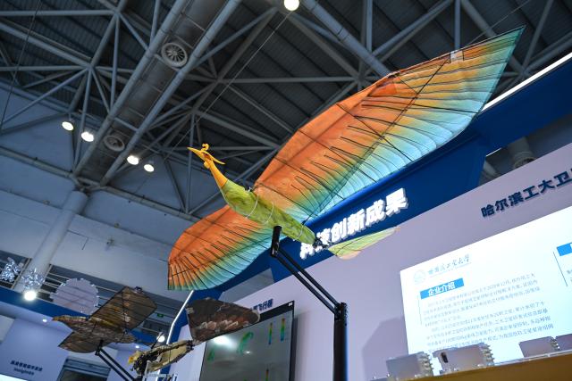 (251201) -- FUZHOU, Dec. 1, 2025 (Xinhua) -- This photo shows a bionic aircraft displayed at the Third Overseas Chinese Talent Conference for Development in Fuzhou, southeast China's Fujian Province, Dec. 1, 2025. Under the theme of "Uniting Overseas Chinese Talent, Forging a New Era of Innovation," the Third Overseas Chinese Talent Conference for Development kicked off here on Monday. (Xinhua/Zhou Yi)