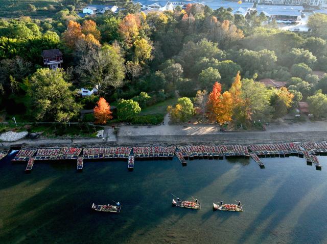 (251202) -- WUYISHAN, Dec. 2, 2025 (Xinhua) -- This aerial drone photo taken on Nov. 30, 2025 shows a dock of the Jiuqu River at Wuyishan National Park in southeast China's Fujian Province. (Xinhua/Jiang Kehong)