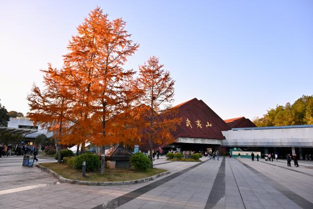 (251202) -- WUYISHAN, Dec. 2, 2025 (Xinhua) -- This photo taken on Nov. 29, 2025 shows cedar trees outside a tourist center of the Wuyishan National Park in southeast China's Fujian Province. (Xinhua/Jiang Kehong)