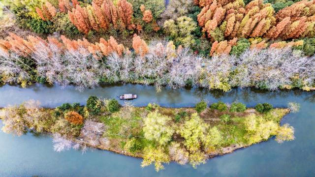(251202) -- BEIJING, Dec. 2, 2025 (Xinhua) -- An aerial drone photo taken on Dec. 2, 2025 shows a view of the Qinhu National Wetland Park in Jiangyan District of Taizhou, east China's Jiangsu Province. (Photo by Zhou Shegen/Xinhua)