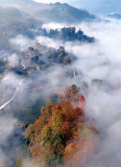 (251202) -- BEIJING, Dec. 2, 2025 (Xinhua) -- An aerial drone photo taken on Dec. 1, 2025 shows the scenery in a mountainous area in Zhushan Town of Xuan'en County, Enshi Tujia and Miao Autonomous Prefecture, central China's Hubei Province. (Photo by Song Wen/Xinhua)