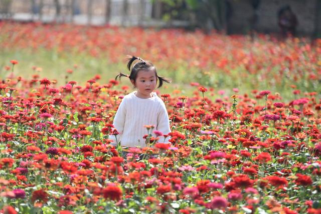 (251203) -- LIUZHOU, Dec. 3, 2025 (Xinhua) -- A child plays at a garden in Baipeng Village, Liujiang District, Liuzhou City, south China's Guangxi Zhuang Autonomous Region, Nov. 23, 2025. In recent years, Liujiang District of Liuzhou City has leveraged its thriving rural industries and vibrant agricultural economy to expand its tourism business. In the first three quarters of this year, Liujiang District received a total of 5.9975 million visits, a year-on-year increase of 11.16 percent, with tourism-related revenue of 6.006 billion yuan (850.26 million U.S. dollars), up 9.91 percent compared to the same period last year. (Xinhua/Huang Xiaobang)