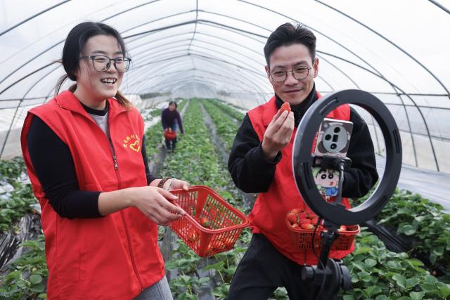 (251204) -- CHANGXING, Dec. 4, 2025 (Xinhua) -- Volunteers promote local agricultural products via live-streaming at a farm in Bianminqiao Village of Heping Town in Changxing County of Huzhou City, east China's Zhejiang Province, Dec. 4, 2025. In recent years, Heping Town has been promoting the modernization, standardization, professionalization and digitalization of its agricultural industry to effectively improve the quality of local agricultural products. What's more, relying on its modern agricultural resources, Heping Town also strives to develop its rural tourism industry through various activities like fruits leisure picking and vegetable and fruits study and research tours. (Xinhua/Xu Yu)