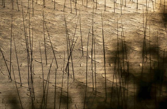 (251204) -- XIAPU, Dec. 4, 2025 (Xinhua) -- This photo shows a coastal scenery of Dongbi Village in Sansha Town, Xiapu County, southeast China's Fujian Province, Dec. 3, 2025. Sansha Town in Xiapu County, blessed with unique natural resources and rich historical culture, has been walking a distinctive path to rural revitalization by orchestrating tourist attractions such as high-end homestays, tidal flat landscape and local specialty food with rural development. (Xinhua/Wei Peiquan)