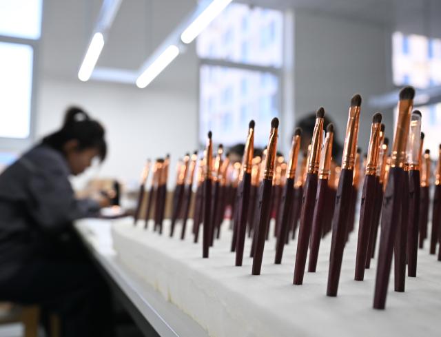 (251204) -- CANGZHOU, Dec. 4, 2025 (Xinhua) -- Staff members operate at a workshop of a makeup brush manufacturing enterprise in Qingxian County, Cangzhou, north China's Hebei Province, Dec. 4, 2025. The makeup brush industry in Qingxian County, which burgeoned in the 1990s with a bunch of contract manufacturers, has evolved into a cluster of independent brands.
   In recent years, Qingxian has been continuously upgrading this sector through efforts such as the establishment of an industrial alliance, development of new materials, and building presence in platforms for cross-border e-commerce. 
   Currently, the annual revenue of makeup brush enterprises in the county is approximately 3 billion yuan (about 425 million U.S. dollars). (Xinhua/Mu Yu)