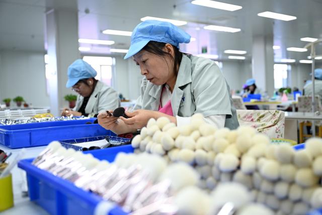 (251204) -- CANGZHOU, Dec. 4, 2025 (Xinhua) -- Staff members operate at a workshop of a makeup brush manufacturing enterprise in Qingxian County, Cangzhou, north China's Hebei Province, Dec. 4, 2025. The makeup brush industry in Qingxian County, which burgeoned in the 1990s with a bunch of contract manufacturers, has evolved into a cluster of independent brands.
   In recent years, Qingxian has been continuously upgrading this sector through efforts such as the establishment of an industrial alliance, development of new materials, and building presence in platforms for cross-border e-commerce. 
   Currently, the annual revenue of makeup brush enterprises in the county is approximately 3 billion yuan (about 425 million U.S. dollars). (Xinhua/Mu Yu)