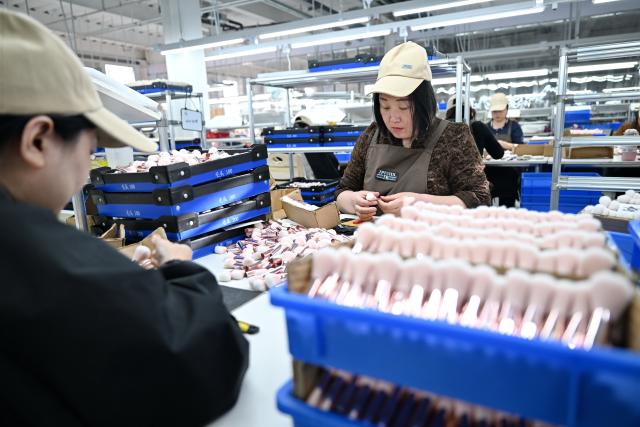 (251204) -- CANGZHOU, Dec. 4, 2025 (Xinhua) -- Staff members operate at a workshop of a makeup brush manufacturing enterprise in Qingxian County, Cangzhou, north China's Hebei Province, Dec. 4, 2025. The makeup brush industry in Qingxian County, which burgeoned in the 1990s with a bunch of contract manufacturers, has evolved into a cluster of independent brands.
   In recent years, Qingxian has been continuously upgrading this sector through efforts such as the establishment of an industrial alliance, development of new materials, and building presence in platforms for cross-border e-commerce. 
   Currently, the annual revenue of makeup brush enterprises in the county is approximately 3 billion yuan (about 425 million U.S. dollars). (Xinhua/Mu Yu)