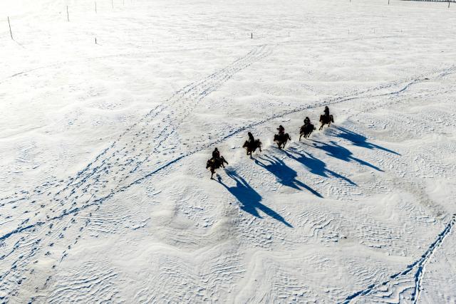 (251204) -- HULUN BUIR, Dec. 4, 2025 (Xinhua) -- An aerial drone photo taken on Dec. 2, 2025 shows policemen of the "Gyrfalcon" mounted police team patrolling on snow-covered Chenbarhu Banner Grassland in Hulun Buir, north China's Inner Mongolia Autonomous Region.
  Deep in the snow-shrouded grassland in Chenbarhu Banner, a row of mounted police patrol on horseback, grappling with gusts and snow. They carry out security guard patrols and management on the vast grassland across an area of 18,600 square kilometers. Equipped with well-trained horses, each of which has undergone more than six months of systematic training, the police team stands as a "symbol of safety" on the grassland, safeguarding local herdsmen all year round.
  The "Gyrfalcon" mounted police team, which was founded in 2015, is the first of its kind in Hulun Buir. Over the past decade, police officers of the team have been dedicating themselves to working under harsh conditions in the northern borderland of China. Whether braving intense ultraviolet rays in summer or carrying out special training on the snowfields with temperatures reaching minus 40 degrees Celsius in winter, the team has never hesitated to perform its duties.
  Apart from routine patrols and training, the team has also contributed to the safety of local schools, directing the traffic and escorting pupils through snow-covered streets.
  To date, the team's total patrol mileage has exceeded 140,000 kilometers and it has helped nearly 700 residents out of danger. From the grasslands to nearby towns, the "Gyrfalcon" mounted police team is the loyal guardian of local people and land. (Xinhua/Ma Jinrui)