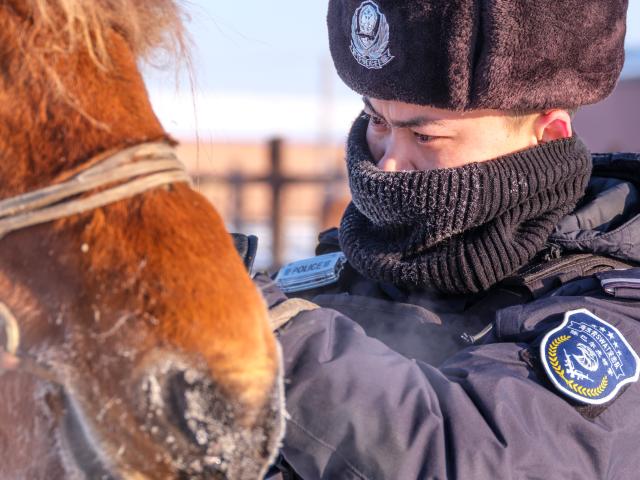 (251204) -- HULUN BUIR, Dec. 4, 2025 (Xinhua) -- A policeman of the "Gyrfalcon" mounted police team wipes off the frost on a horse in Chenbarhu Banner of Hulun Buir, north China's Inner Mongolia Autonomous Region, Dec. 2, 2025.
  Deep in the snow-shrouded grassland in Chenbarhu Banner, a row of mounted police patrol on horseback, grappling with gusts and snow. They carry out security guard patrols and management on the vast grassland across an area of 18,600 square kilometers. Equipped with well-trained horses, each of which has undergone more than six months of systematic training, the police team stands as a "symbol of safety" on the grassland, safeguarding local herdsmen all year round.
  The "Gyrfalcon" mounted police team, which was founded in 2015, is the first of its kind in Hulun Buir. Over the past decade, police officers of the team have been dedicating themselves to working under harsh conditions in the northern borderland of China. Whether braving intense ultraviolet rays in summer or carrying out special training on the snowfields with temperatures reaching minus 40 degrees Celsius in winter, the team has never hesitated to perform its duties.
  Apart from routine patrols and training, the team has also contributed to the safety of local schools, directing the traffic and escorting pupils through snow-covered streets.
  To date, the team's total patrol mileage has exceeded 140,000 kilometers and it has helped nearly 700 residents out of danger. From the grasslands to nearby towns, the "Gyrfalcon" mounted police team is the loyal guardian of local people and land. (Xinhua/Ma Jinrui)