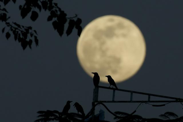 (251204) -- YANGON, Dec. 4, 2025 (Xinhua) -- A super moon is seen in Yangon, Myanmar, Dec. 4, 2025. (Xinhua/Myo Kyaw Soe)