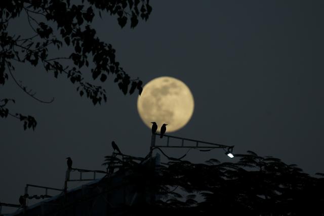 (251204) -- YANGON, Dec. 4, 2025 (Xinhua) -- A super moon is seen in Yangon, Myanmar, Dec. 4, 2025. (Xinhua/Myo Kyaw Soe)