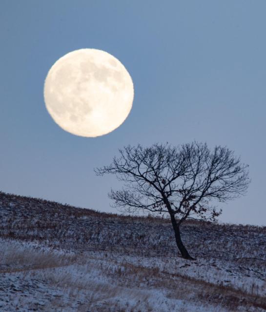 (251204) -- BEIJING, Dec. 4, 2025 (Xinhua) -- A full moon is pictured in Fujin City, northeast China's Heilongjiang Province, Dec. 4, 2025. This year's second-largest full moon to the eyes of lunar observers will appear on Friday morning, but the best viewing time falls on Thursday evening. (Photo by Geng Xiqing/Xinhua)