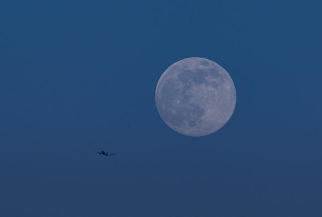 (251204) -- BEIJING, Dec. 4, 2025 (Xinhua) -- A full moon is pictured with a flying-by airplane in Wenzhou City, east China's Zhejiang Province, Dec. 4, 2025. This year's second-largest full moon to the eyes of lunar observers will appear on Friday morning, but the best viewing time falls on Thursday evening. (Photo by Su Qiaojiang/Xinhua)