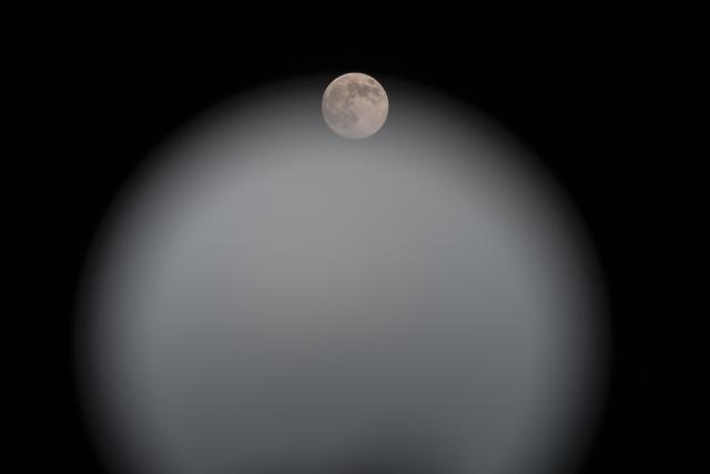 (251204) -- BEIJING, Dec. 4, 2025 (Xinhua) -- A full moon is pictured in Harbin, northeast China's Heilongjiang Province, Dec. 4, 2025. This year's second-largest full moon to the eyes of lunar observers will appear on Friday morning, but the best viewing time falls on Thursday evening. (Xinhua/Zhang Tao)