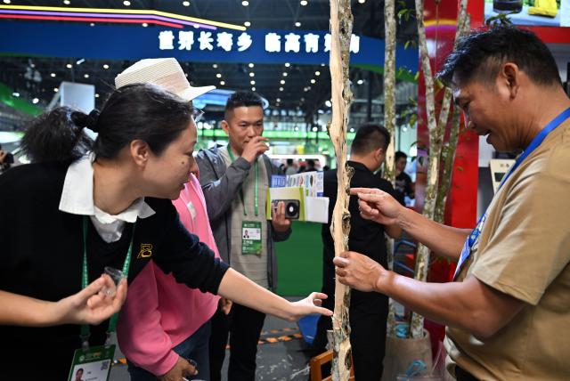 (251204) -- HAIKOU, Dec. 4, 2025 (Xinhua) -- Visitors learn about agarwood at the 28th China (Hainan) International Winter Trade Fair for Tropical Agricultural Products in Haikou, south China's Hainan Province, Dec. 4, 2025. The trade fair opened here on Thursday. (Xinhua/Guo Cheng)