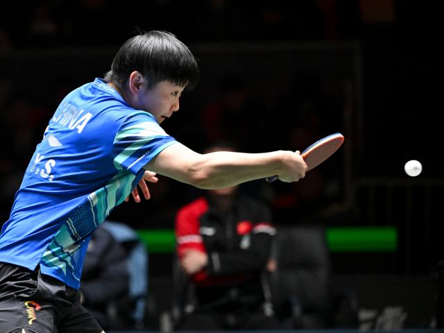 (251205) -- CHENGDU, Dec. 5, 2025 (Xinhua) -- Sun Yingsha of China competes in the women's singles match against Nina Mittelham of Germany during the stage 2 group match between China and Germany at the ITTF Mixed Team World Cup 2025 in Chengdu, southwest China's Sichuan Province, Dec. 5, 2025. (Xinhua/Xu Bingjie)