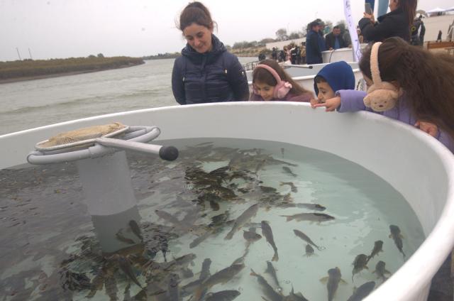 (251205) -- NEFTCHALA, Dec. 5, 2025 (Xinhua) -- People watch fingerlings to be released into the river during a fish fest in Neftchala, Azerbaijan, Dec. 4, 2025. Neftchala held its inaugural fish fest on Thursday to celebrate the city's 66th founding anniversary. Neftchala is located at the estuary of the Kura River, 180 kilometers away from the capital Baku. The area boasts vast waters and abundant fishery resources, serving as a habitat for numerous species of fish. (Xinhua/Chen Junfeng)
