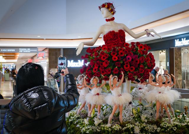(251206) -- VANCOUVER, Dec. 6, 2025 (Xinhua) -- A resident takes photographs of a floral mannequin displayed inside a shopping mall during the Fleurs de Villes NOËL event in Vancouver, British Columbia, Canada, on Dec. 5, 2025. Featuring 30 stunning floral installations created by local floral artists to celebrate the holiday season, this annual event exhibition kicked off here on Friday and will run until December 14. (Photo by Liang Sen/Xinhua)