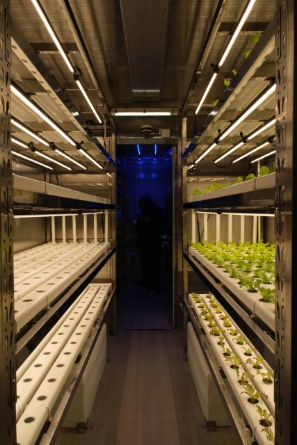 (251206) -- SHANGHAI, Dec. 6, 2025 (Xinhua) -- This undated photo provided by China State Shipbuilding Corporation Limited shows an innovative shipboard hybrid smart cultivation facility in east China's Shanghai. TO GO WITH: "China unveils smart shipboard farm to supply offshore workers with fresh produce" (Xinhua)