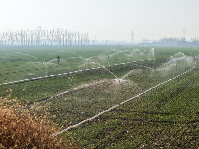 (251206) -- BEIJING, Dec. 6, 2025 (Xinhua) -- A drone photo taken on Dec. 6, 2025 shows intelligent sprinkler irrigation equipment working at a wheat field in Liaocheng City, east China's Shandong Province. As the solar term of Major Snow, also known as "Da Xue" in Chinese, is approaching, farmers are busy with agricultural production across the country. (Photo by Ma Hongkun/Xinhua)