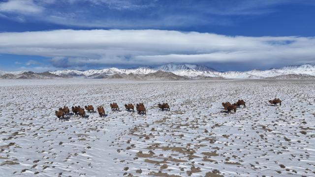 (251206) -- BEIJING, Dec. 6, 2025 (Xinhua) -- A drone photo taken on Dec. 4, 2025 shows the scenery after snow in Qilian Mountains in Kazak Autonomous County of Aksay in northwest China's Gansu Province. (Photo by Gao Hongshan/Xinhua)