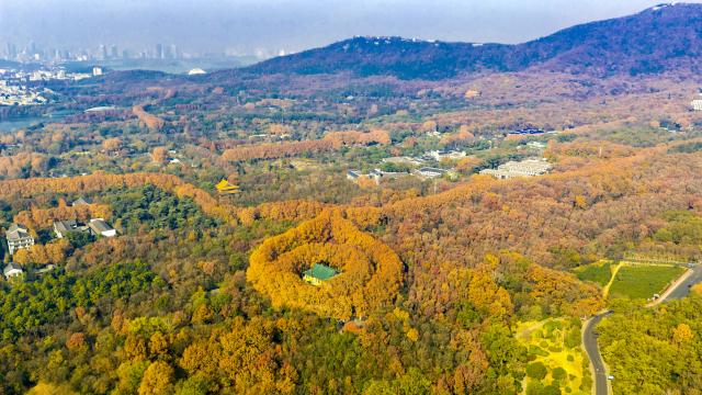 (251206) -- BEIJING, Dec. 6, 2025 (Xinhua) -- An aerial drone photo taken on Dec. 6, 2025 shows the scenery on Zhongshan Mountain scenic spot in Nanjing, east China's Jiangsu Province. (Photo by Yang Suping/Xinhua)