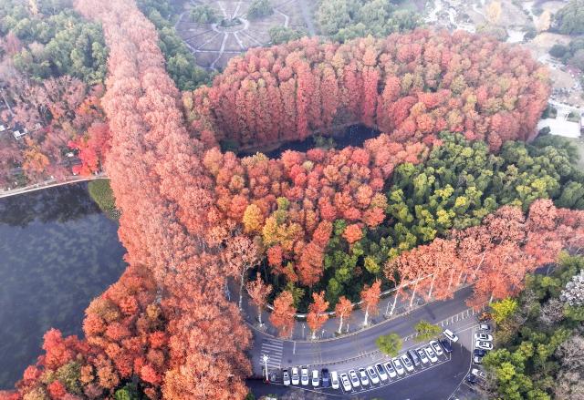 (251206) -- BEIJING, Dec. 6, 2025 (Xinhua) -- An aerial drone photo taken on Dec. 6, 2025 shows the winter scenery of Donghu Lake in Wuhan, central China's Hubei Province. (Photo by Zhao Jun/Xinhua)